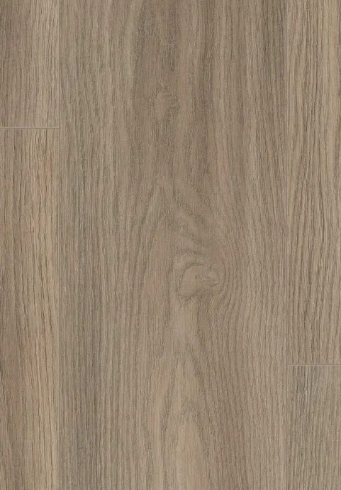 索里亞灰橡｜EL2065