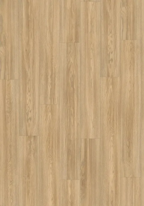 索里亞原橡｜EL2064