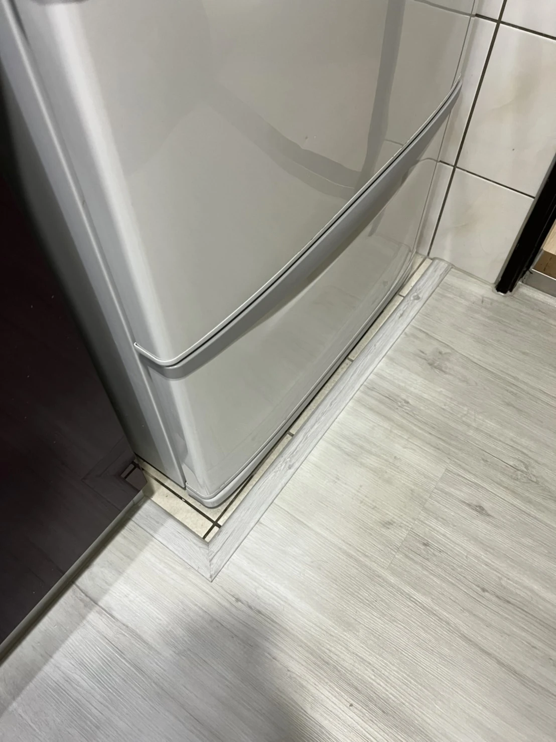 白梢楠