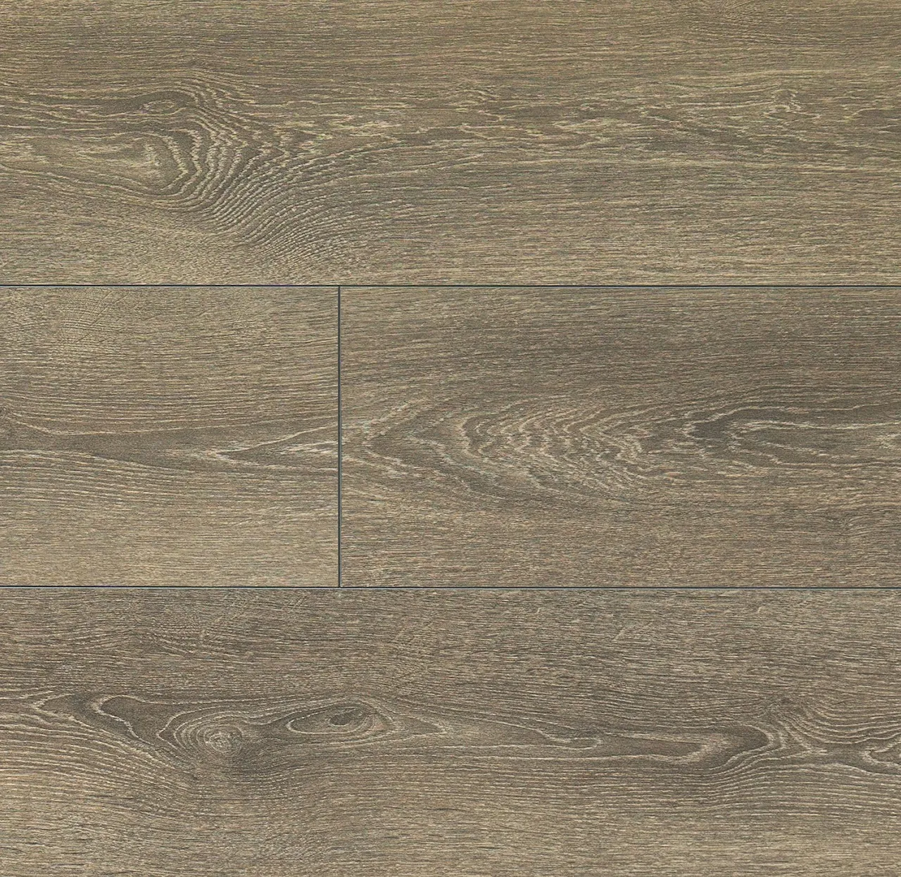 3229  Oak Havana Nights   哈瓦那橡木