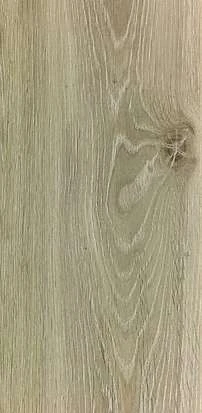 內華達橡木