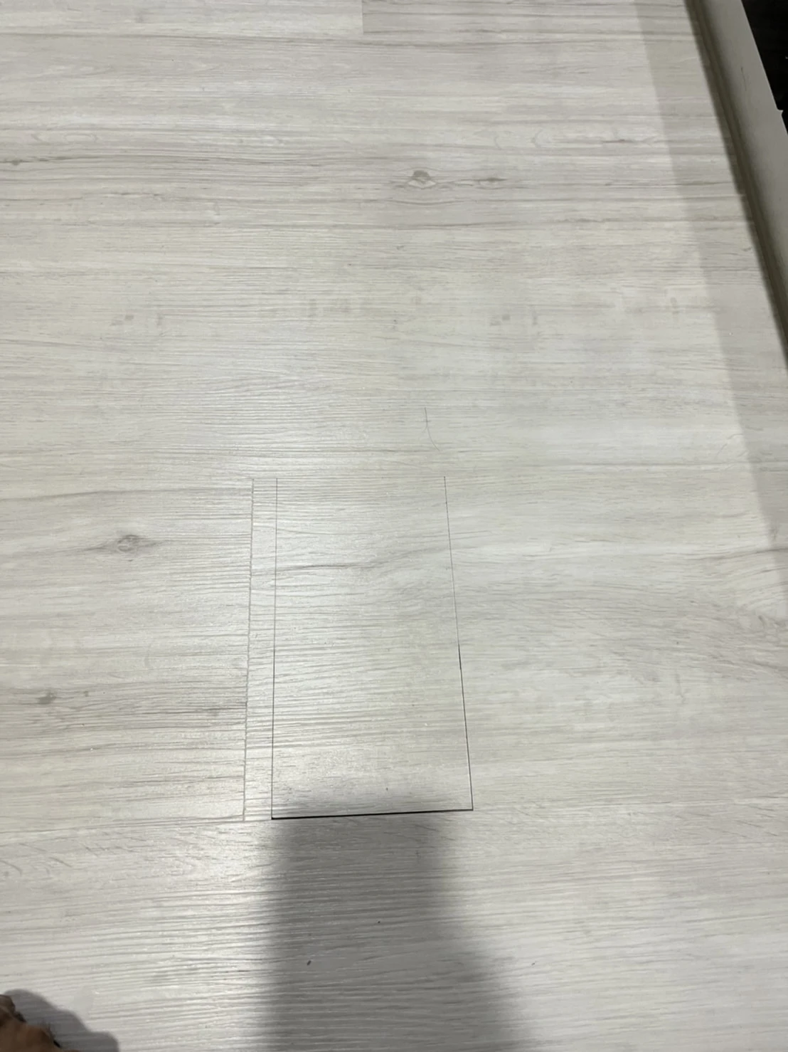 白梢楠