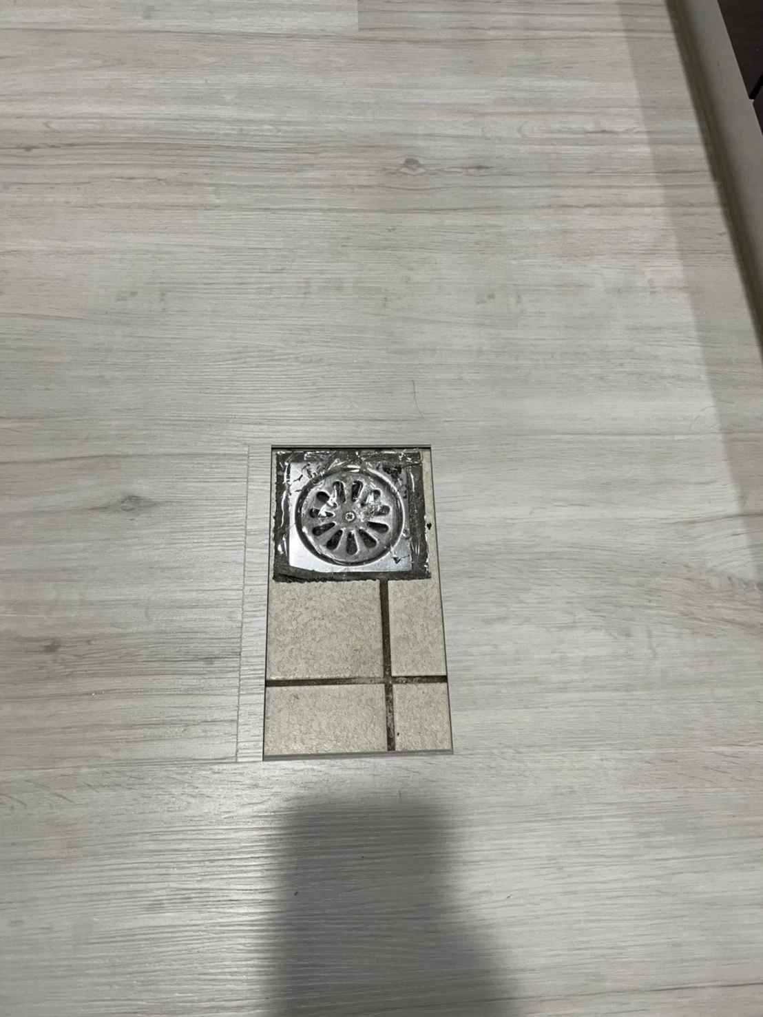 白梢楠