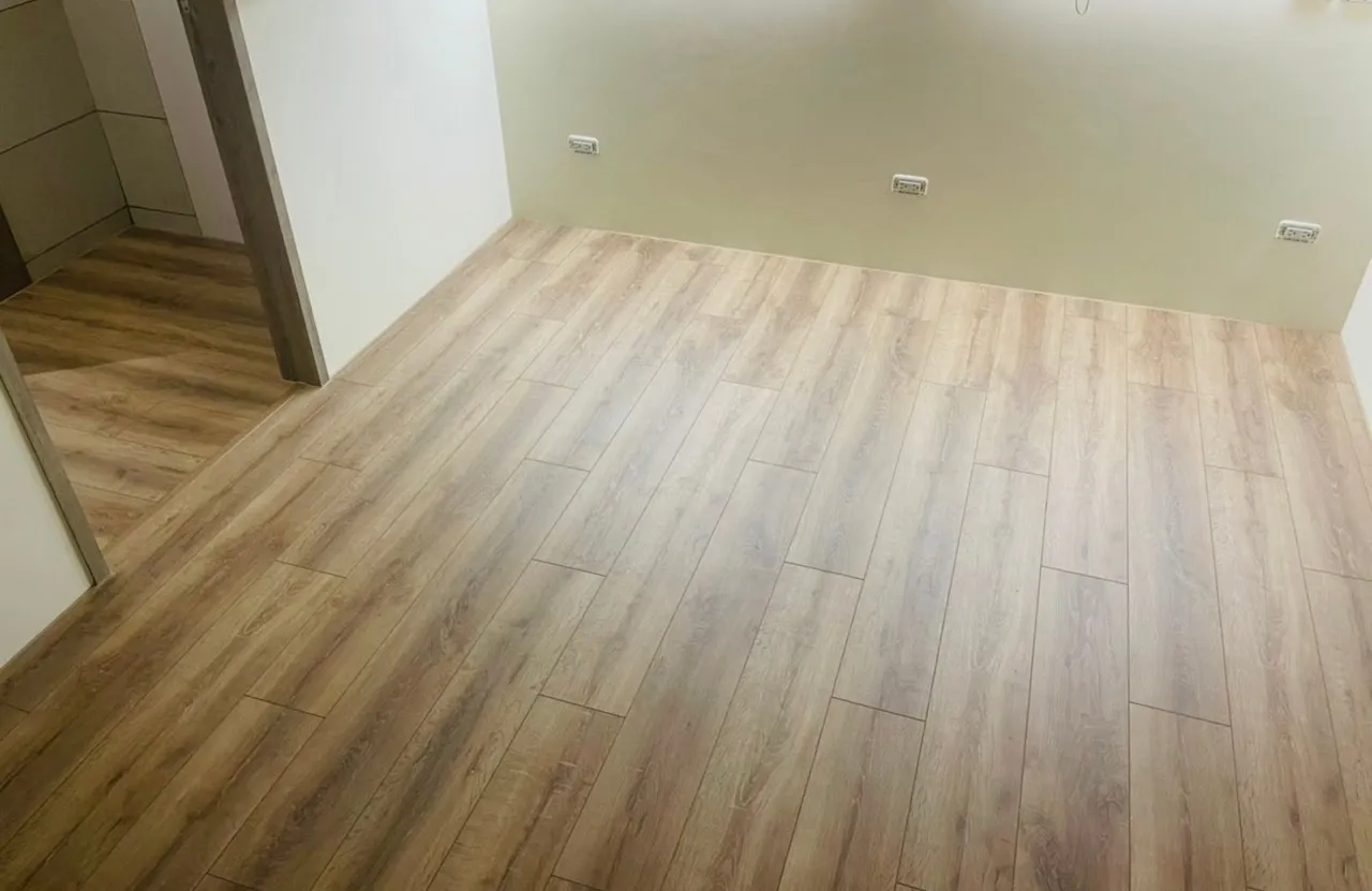 班迪橡木