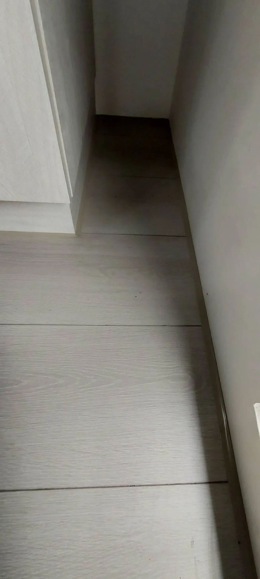 維也納｜24小時高抗水