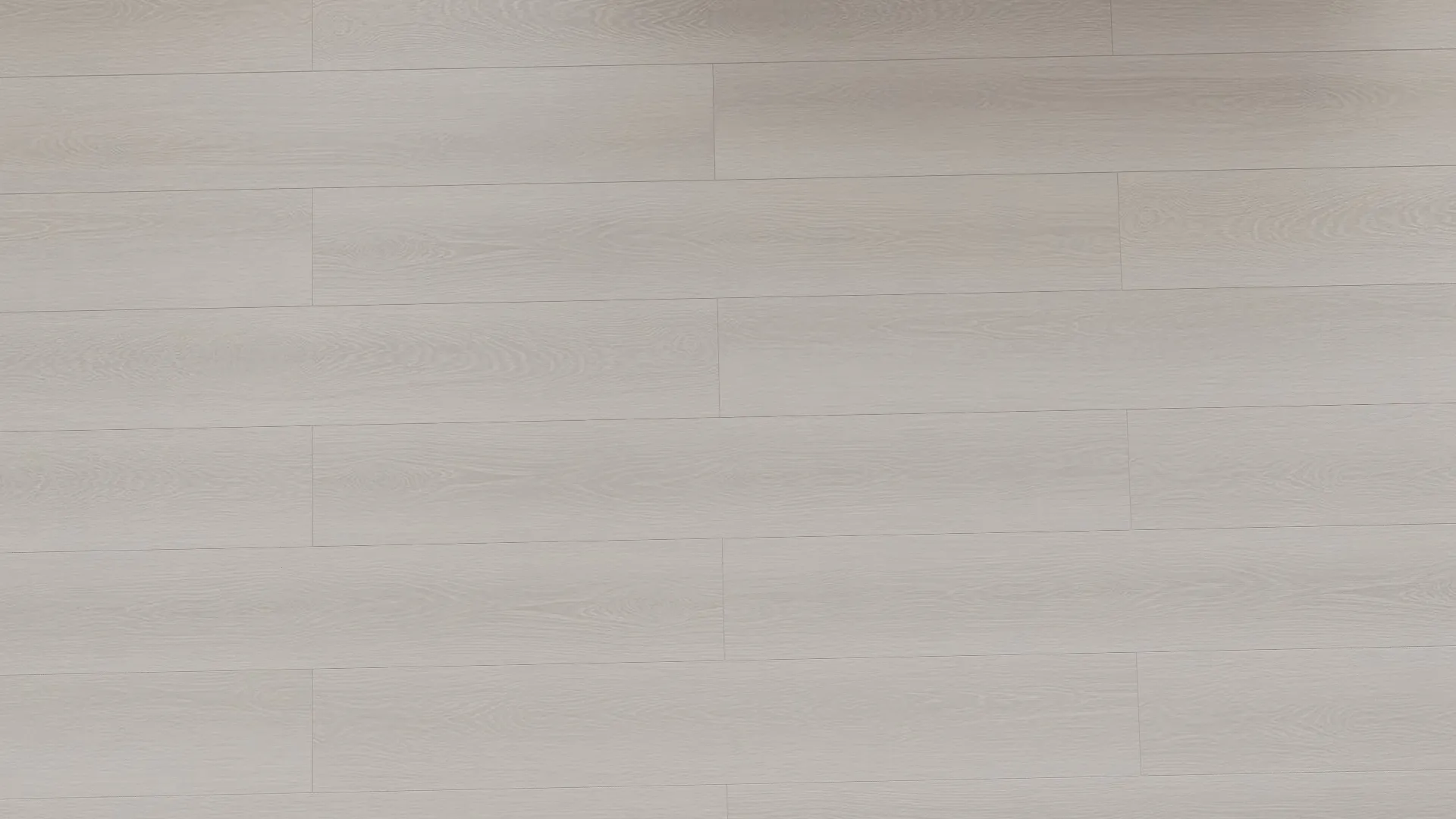 鹿特丹｜24小時高抗水