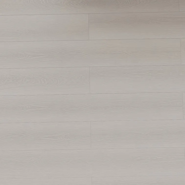 鹿特丹｜24小時高抗水