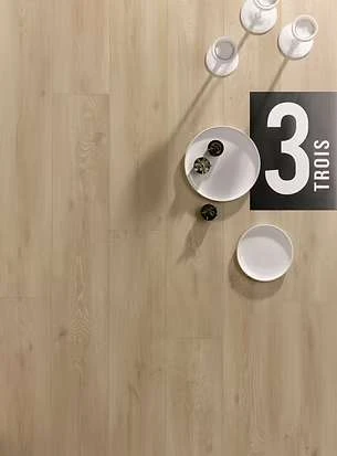 茉莉橡木 