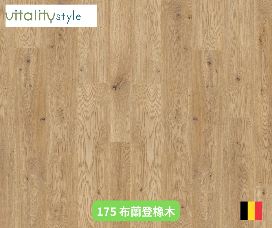 175 布蘭登橡木