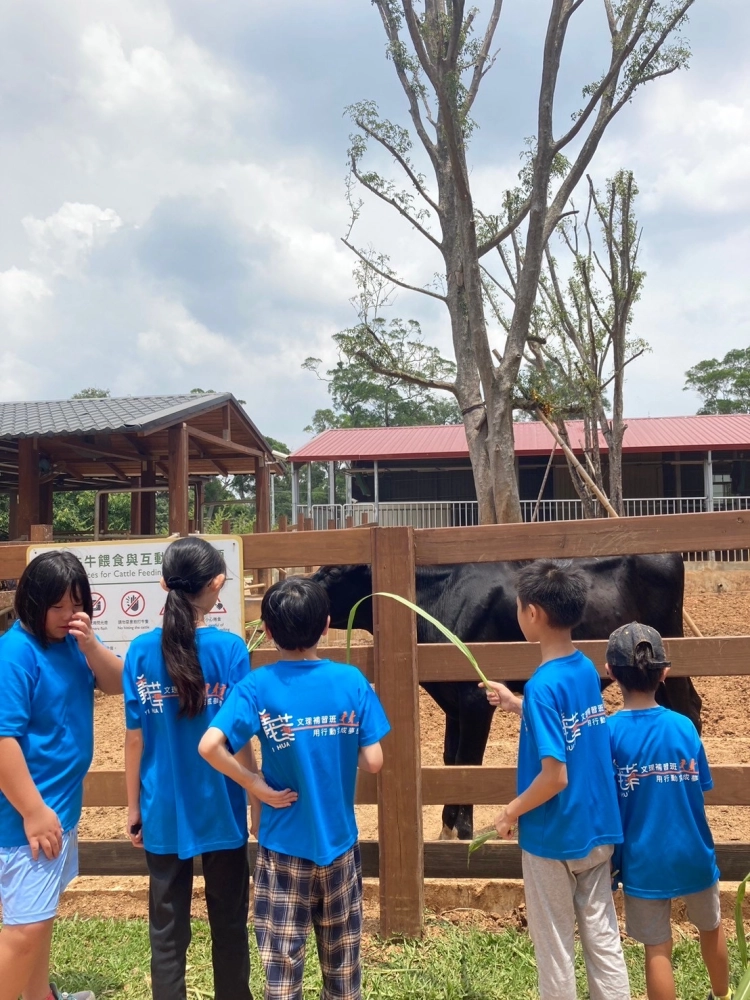 戶外教學-埔心牧場