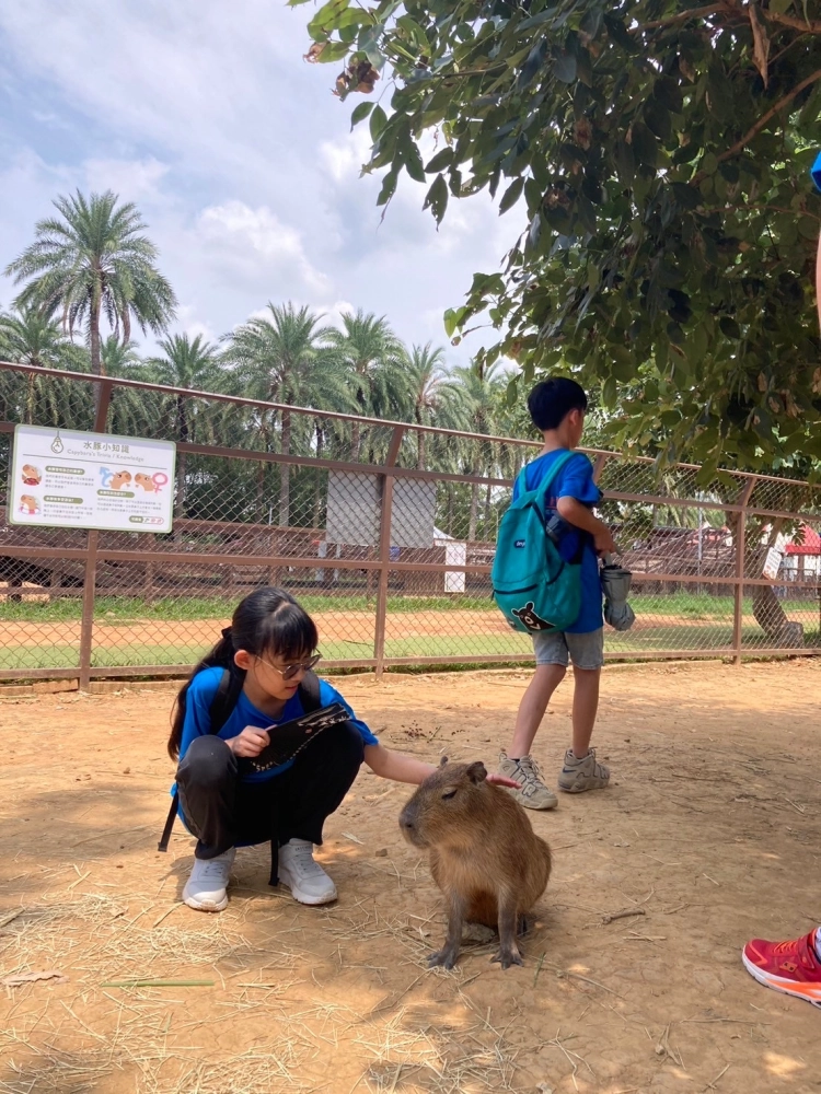 戶外教學-埔心牧場