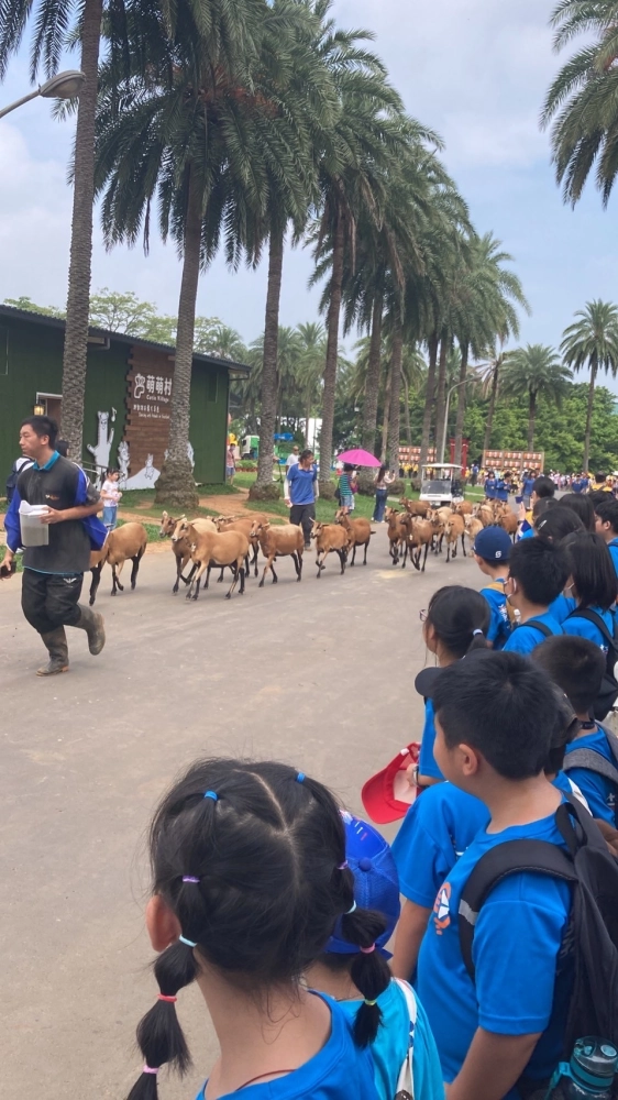 戶外教學-埔心牧場