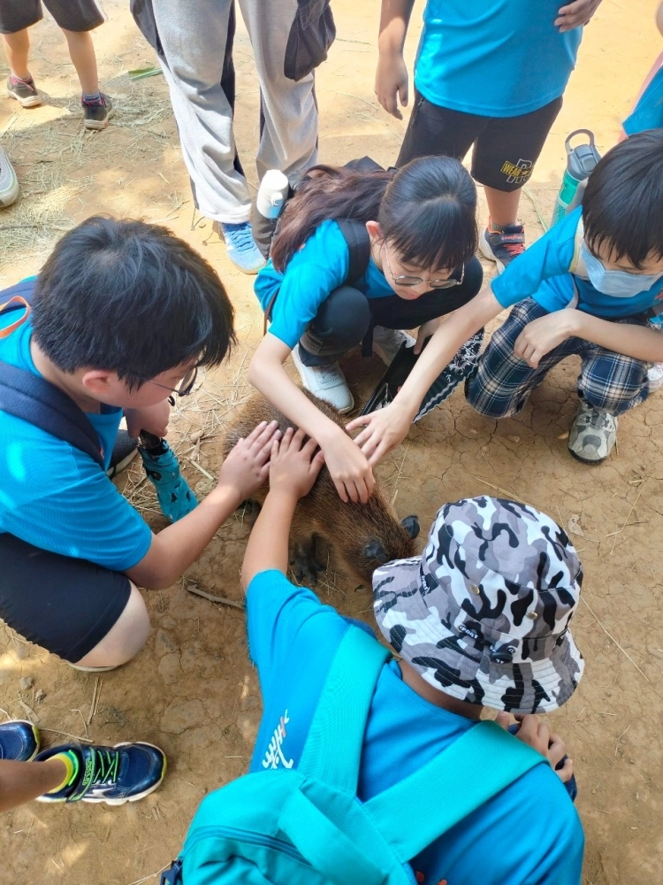 戶外教學-埔心牧場