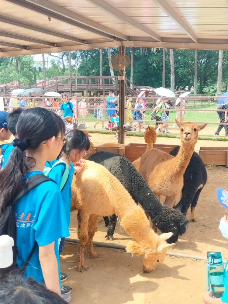 戶外教學-埔心牧場