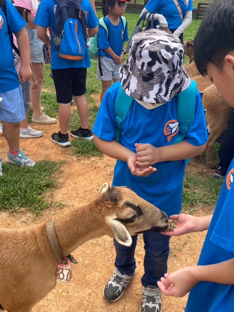 戶外教學-埔心牧場