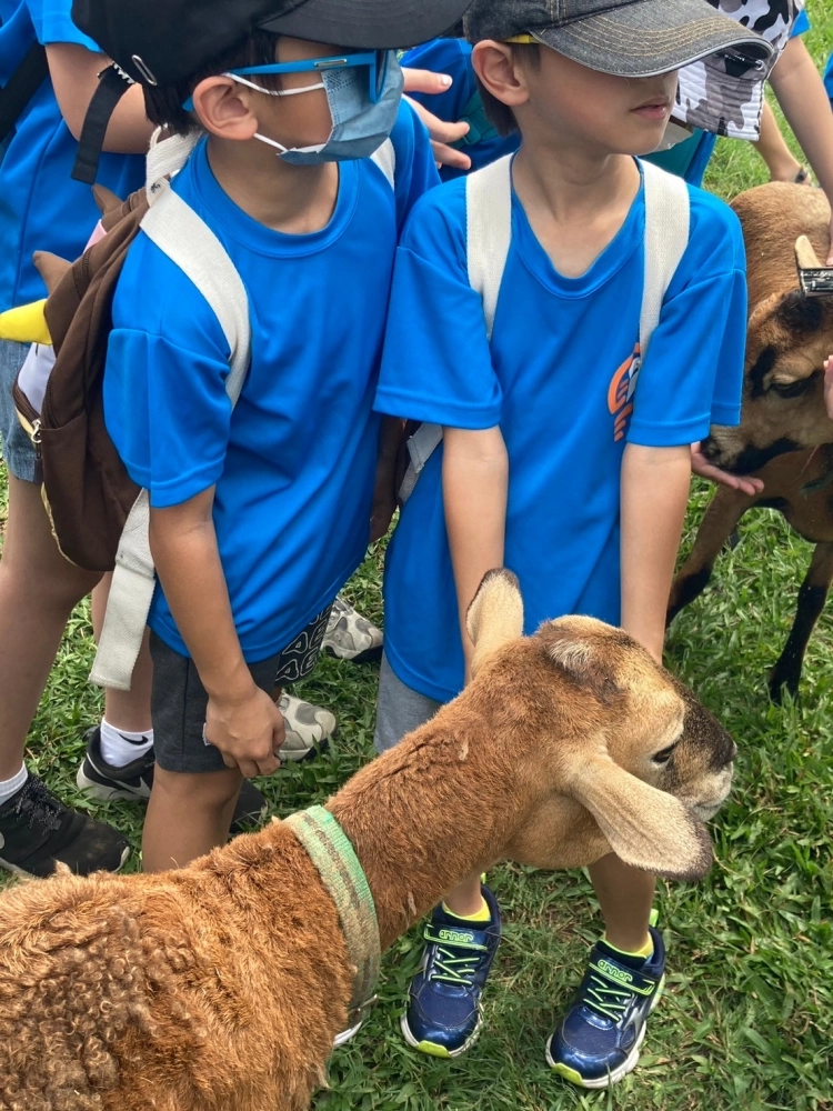 戶外教學-埔心牧場