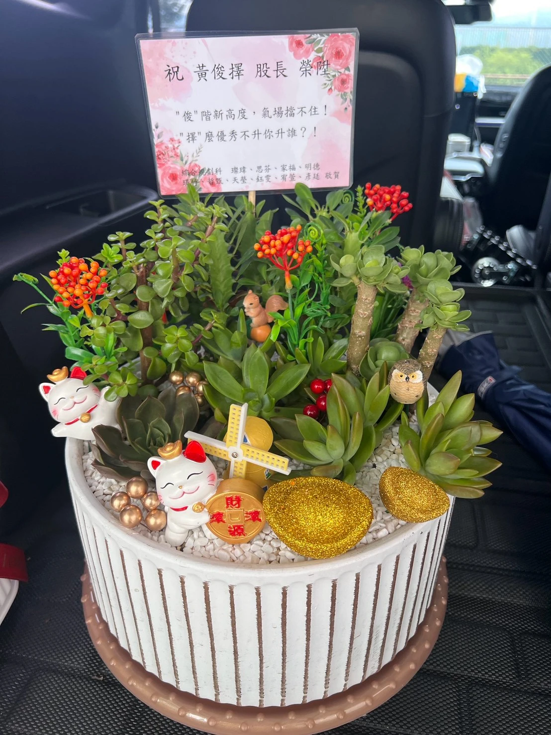 綠植盆栽