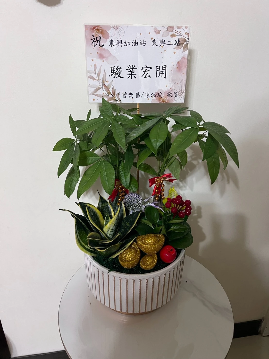 綠植盆栽