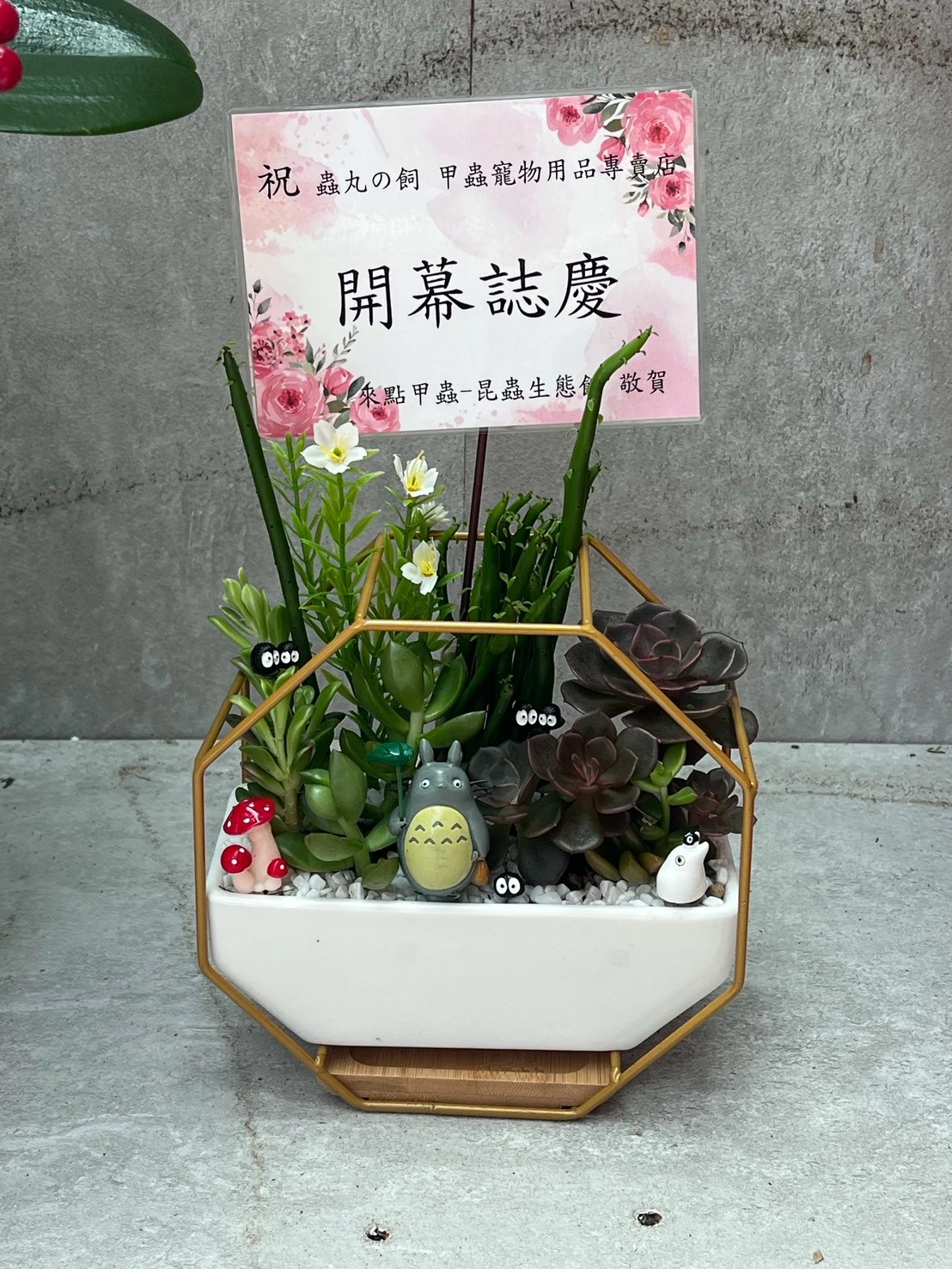綠植盆栽