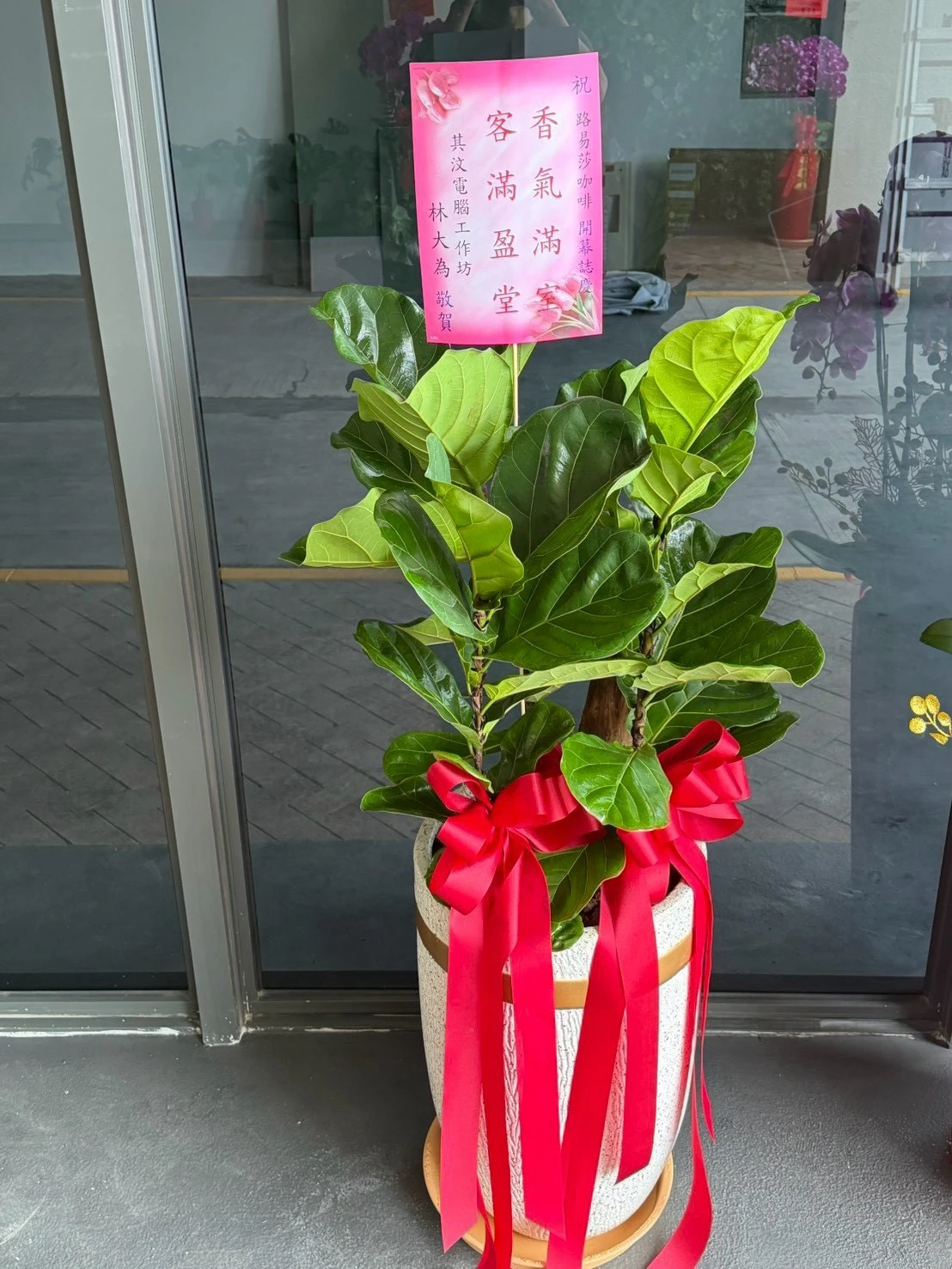 綠植盆栽