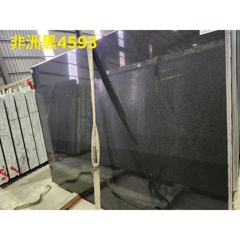 非洲黑4593