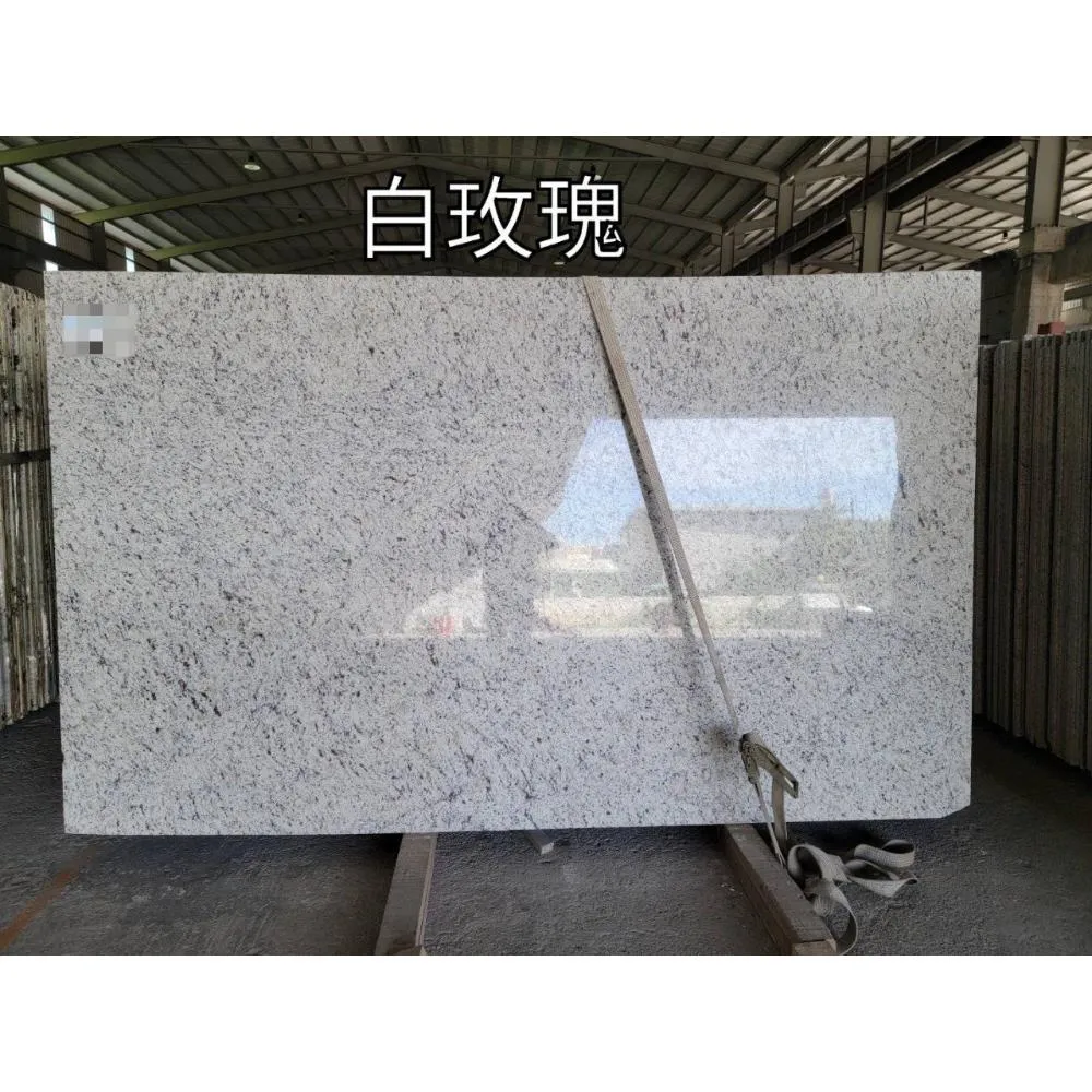白玫瑰