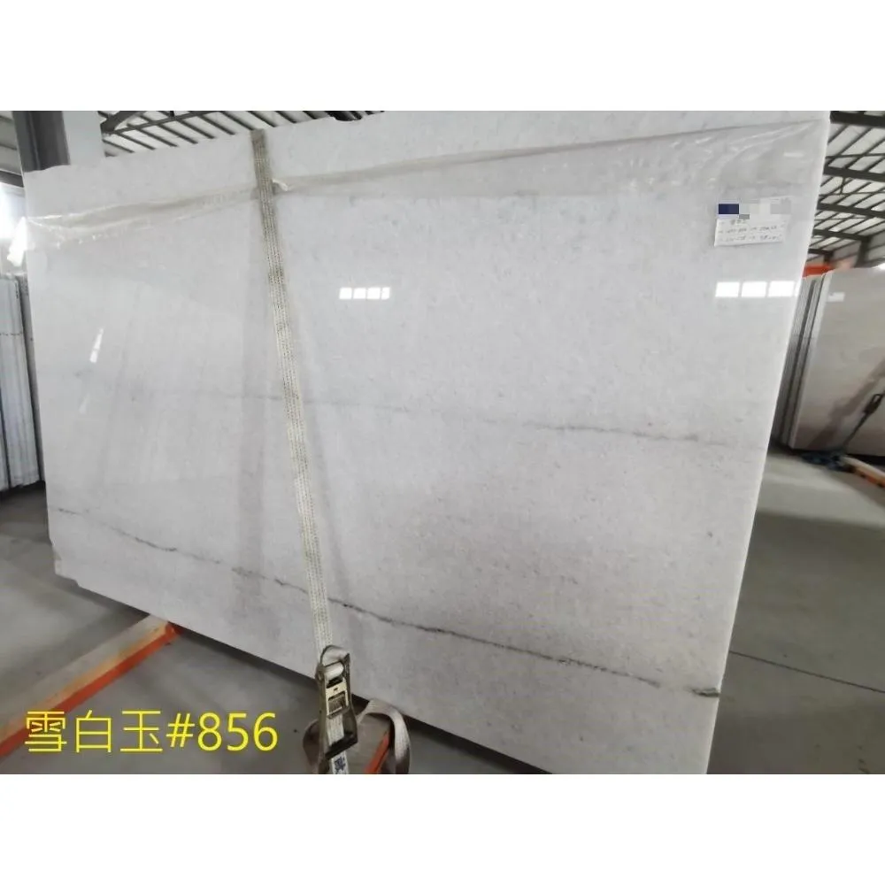 雪白玉856