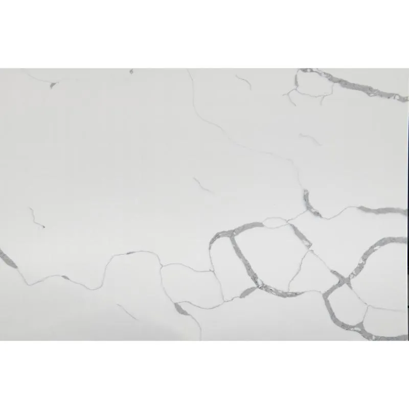 CA5202 983