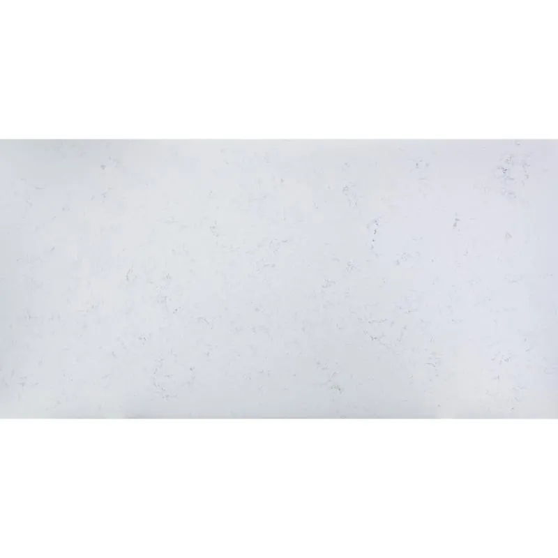 CA2301-磨光面