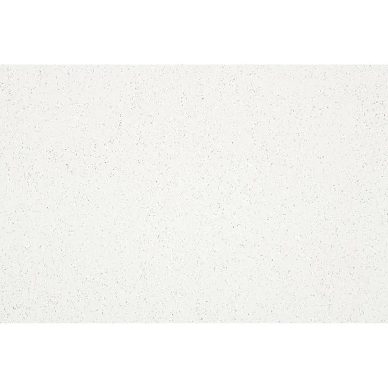 CA1101
