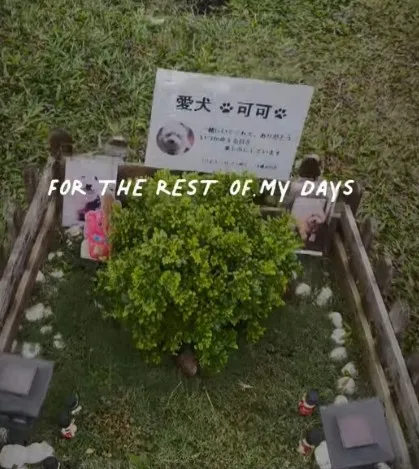 深深懷念｜寵物禮儀推薦｜台中寵物禮儀推薦