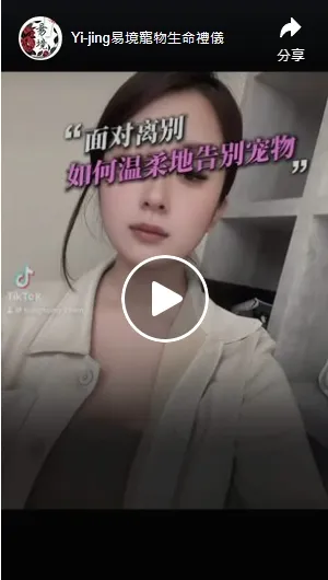 看看我店內有幾坪⋯