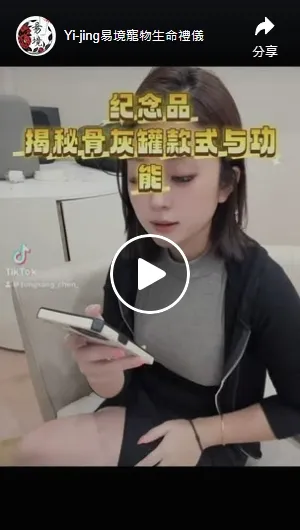 總要跟上時事 上車囉