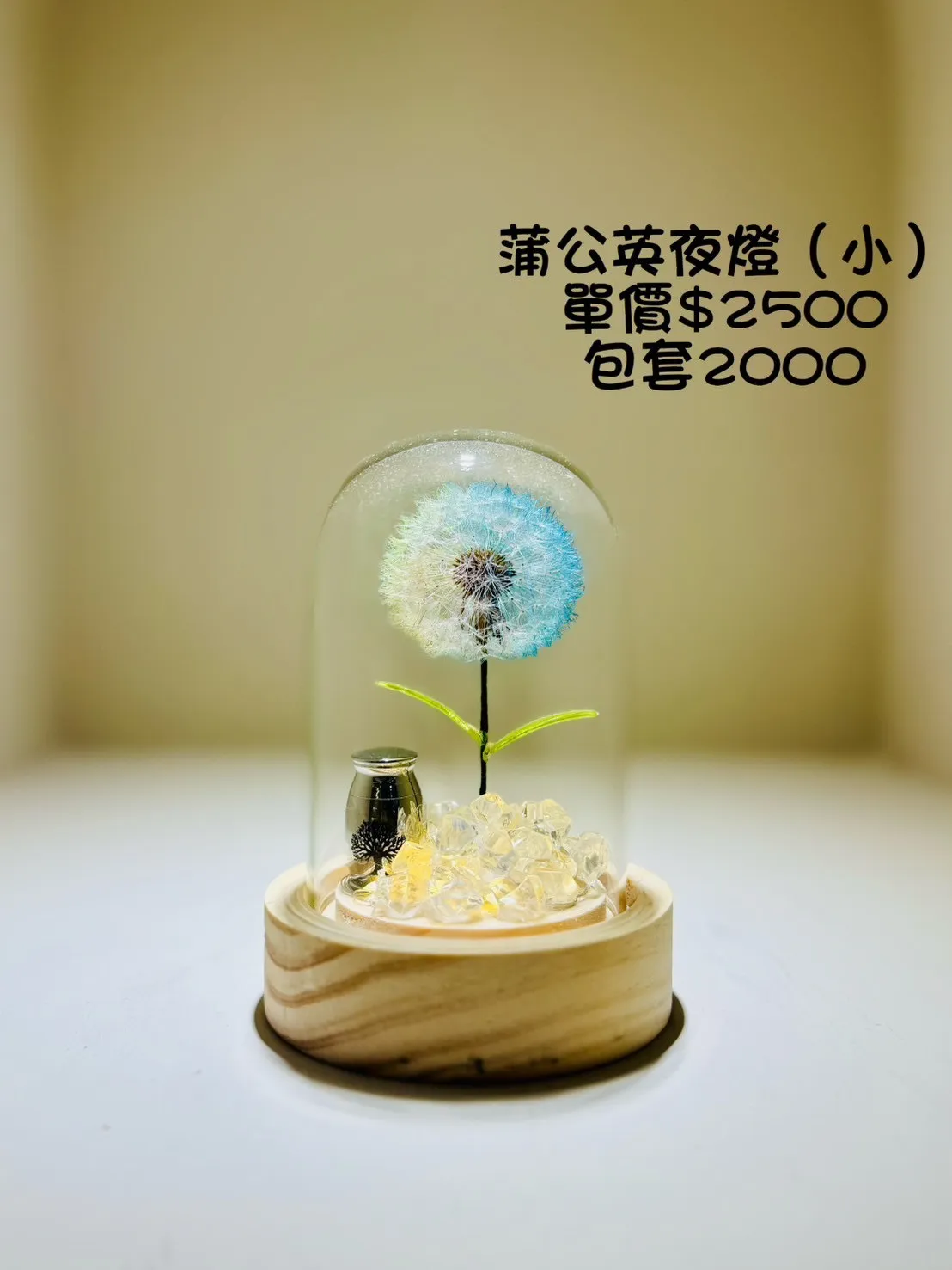 蒲公英夜燈(小)