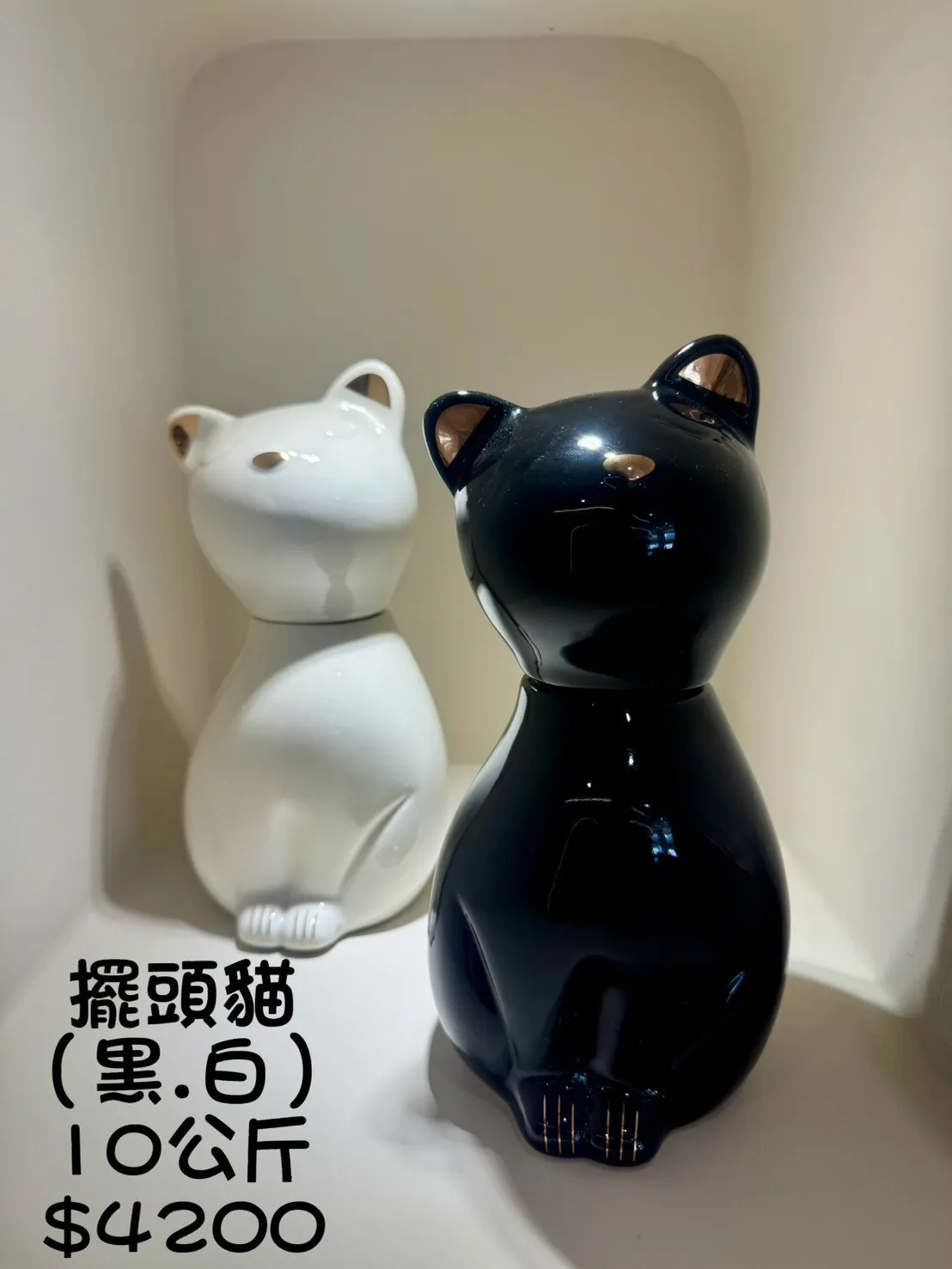 擺頭貓(黑&白) 10公斤