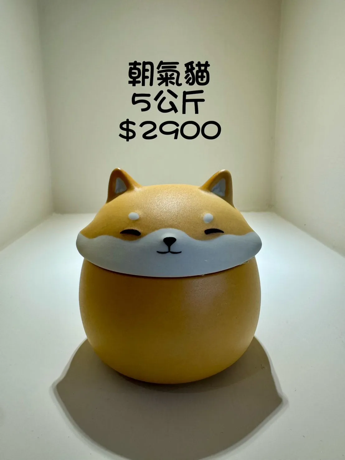 朝氣貓 5公斤