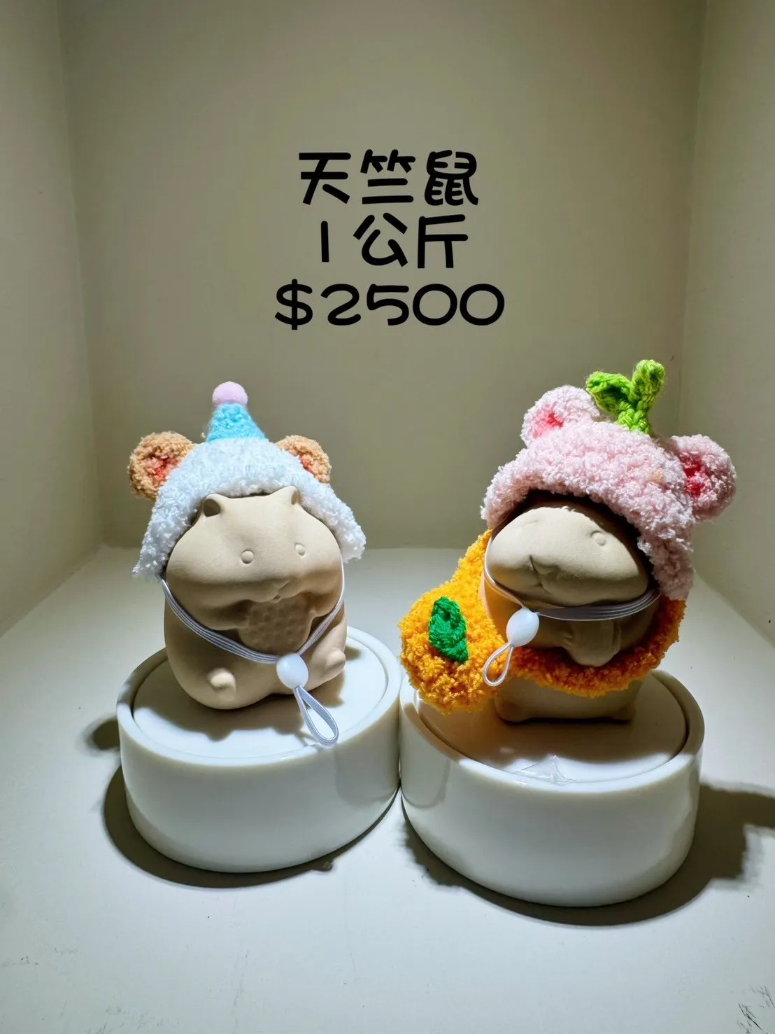 天竺鼠 1公斤