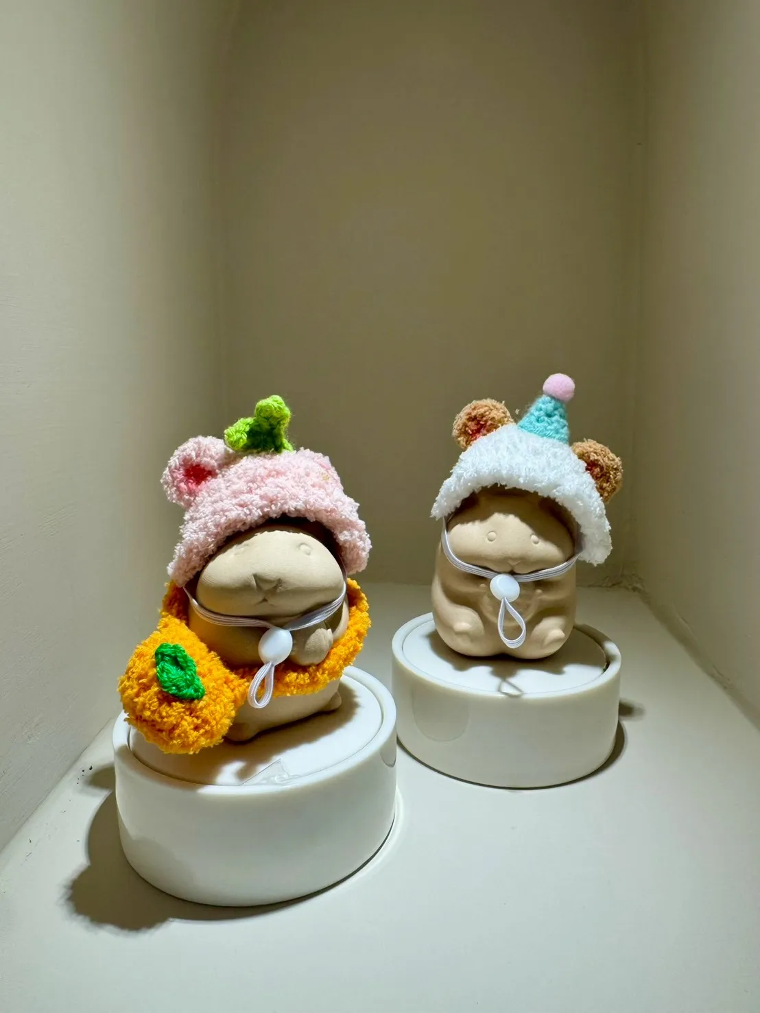 天竺鼠(白) 1公斤