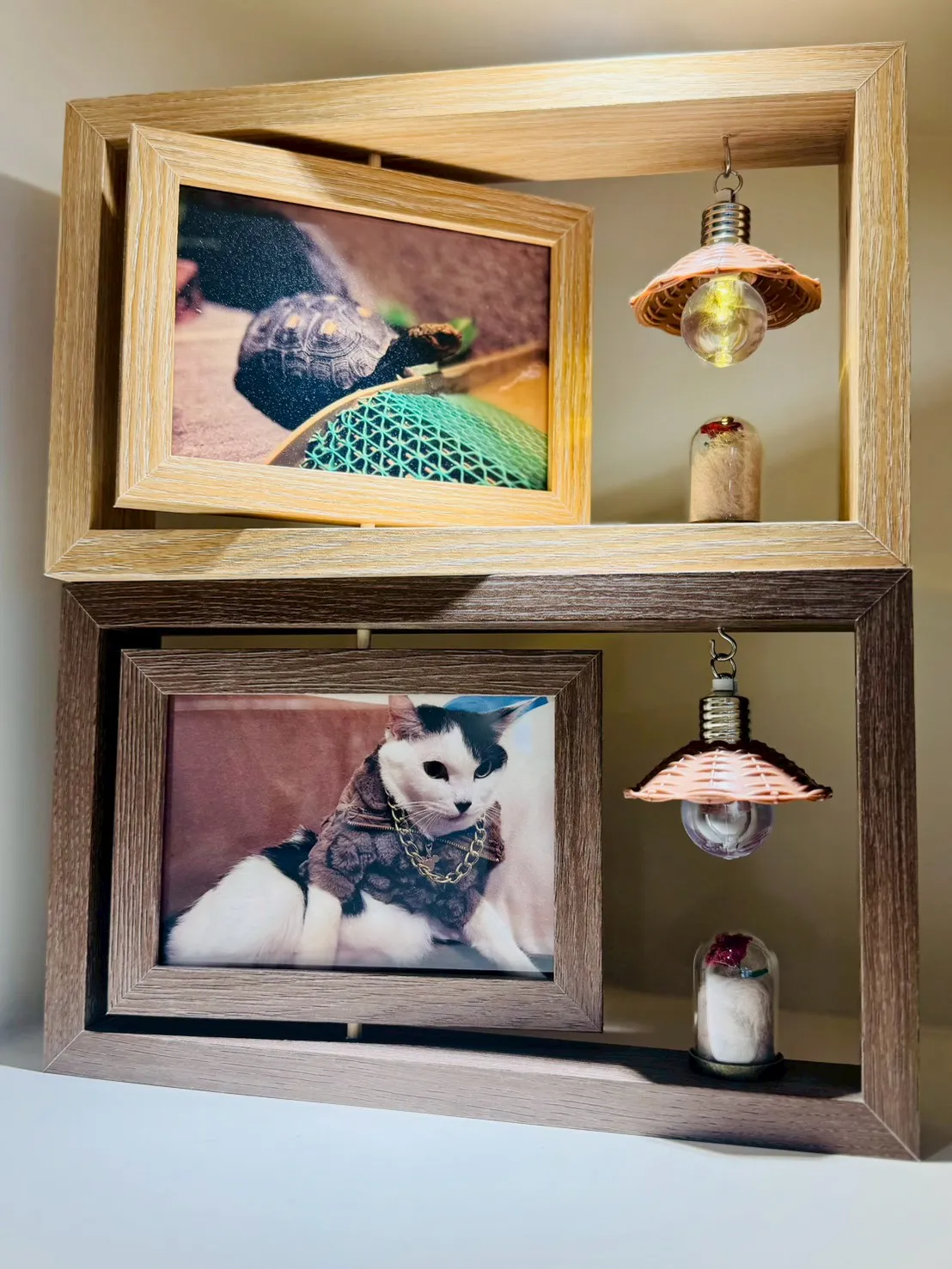 6吋橫相框紀念架(深&淺)