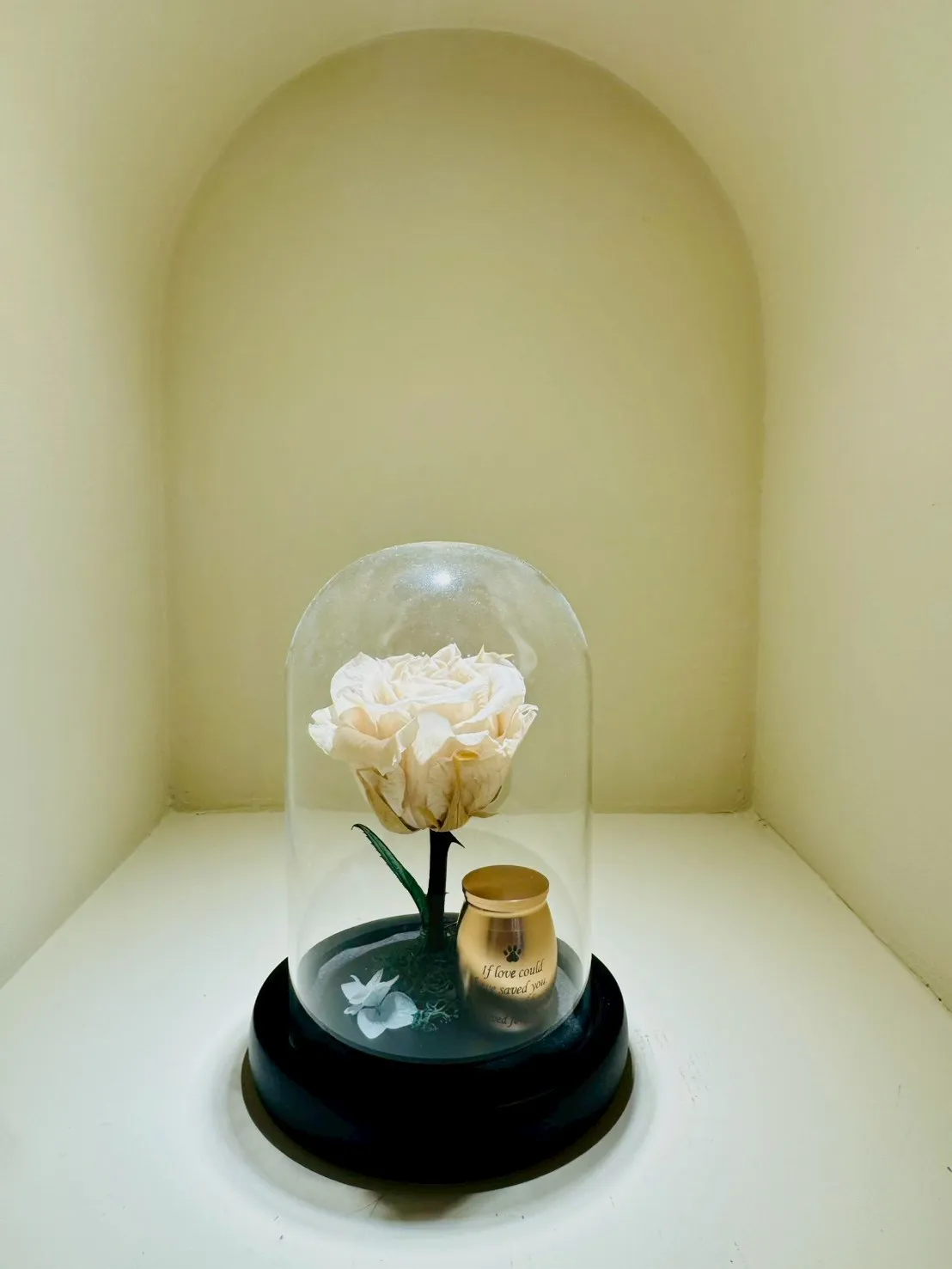 單支乾燥花(含小骨灰罐)