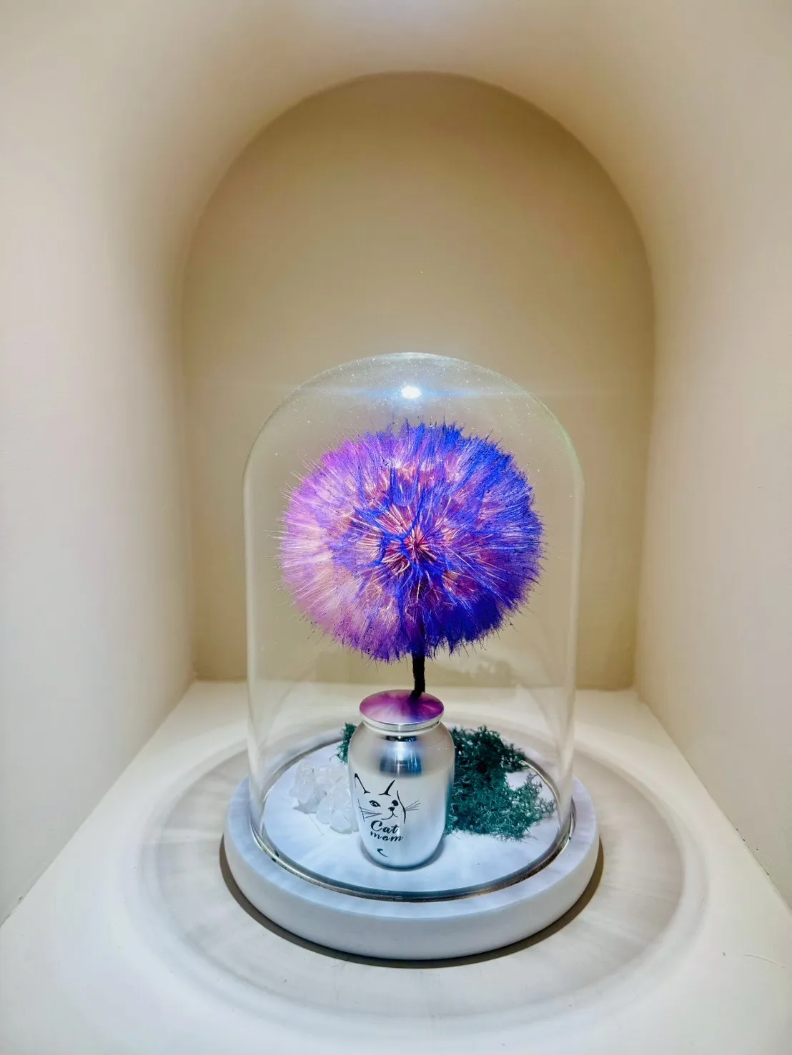 柱型蒲公英標本1朵大(含大型骨灰罐)