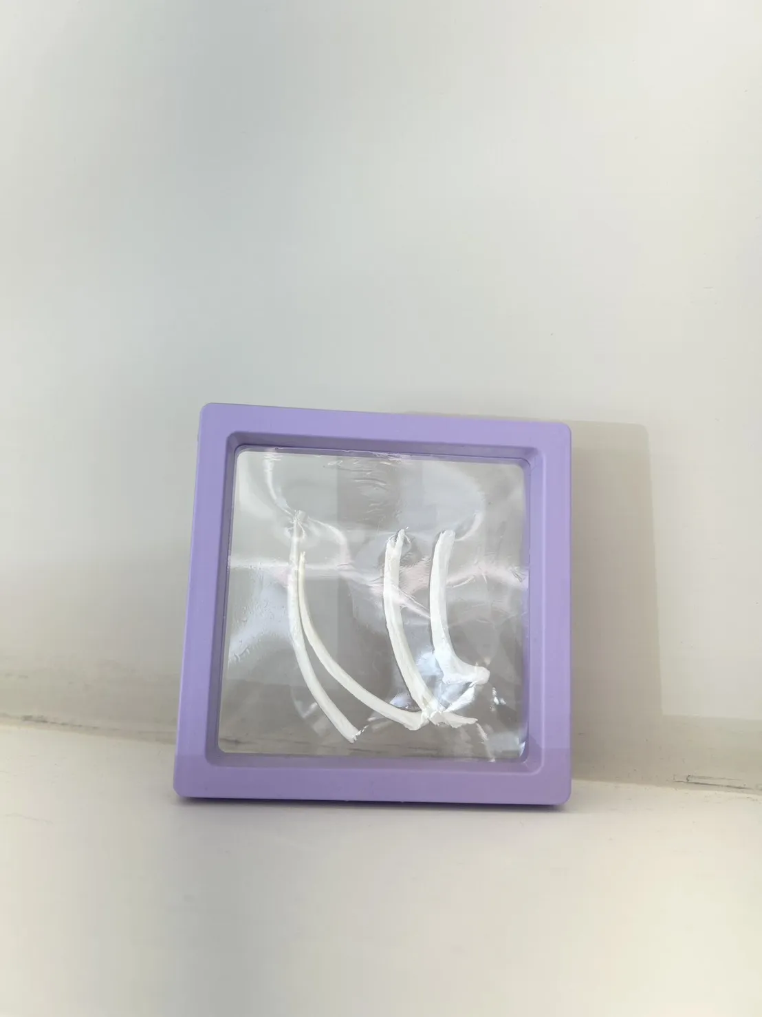 骨頭&羽毛紀念框 大