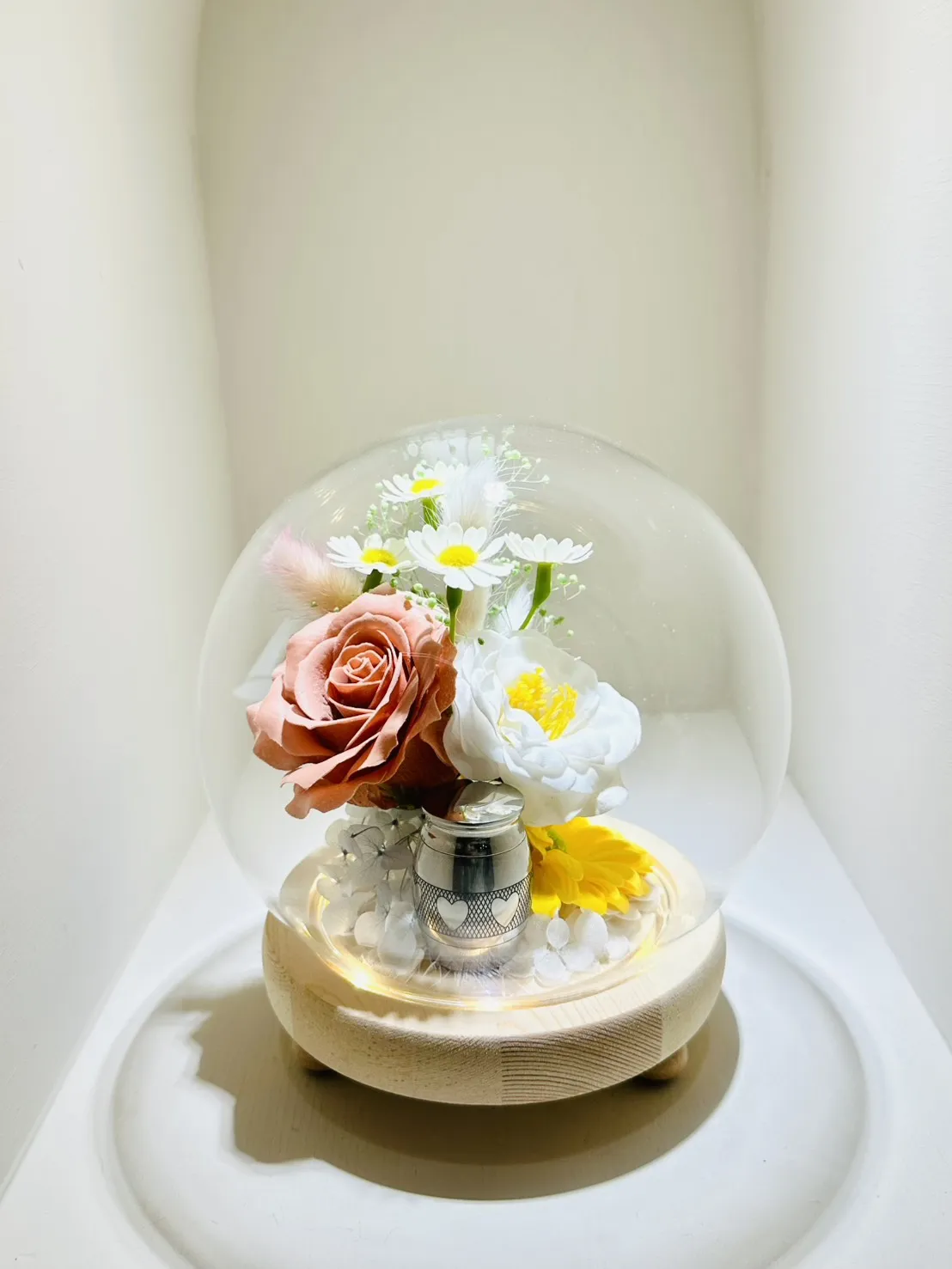 晨光 (含小骨罐)