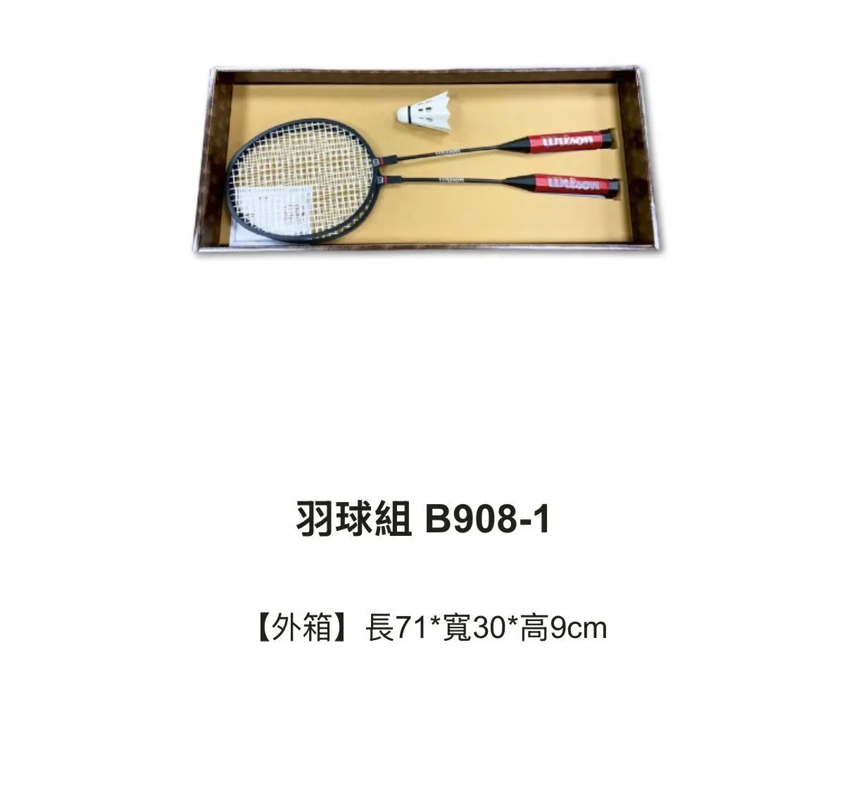 羽球組 B908-1