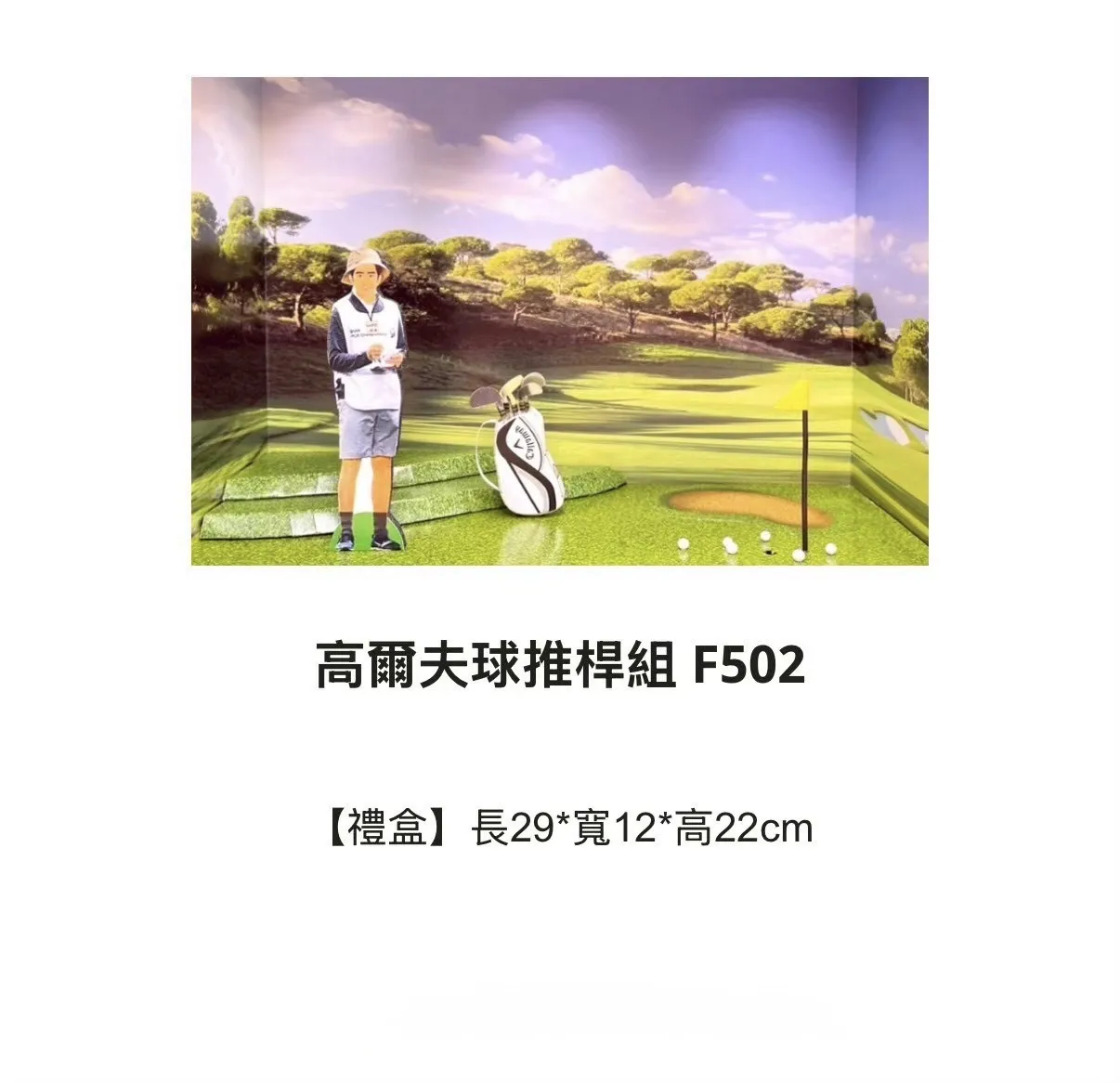 高爾夫球推桿組 F502