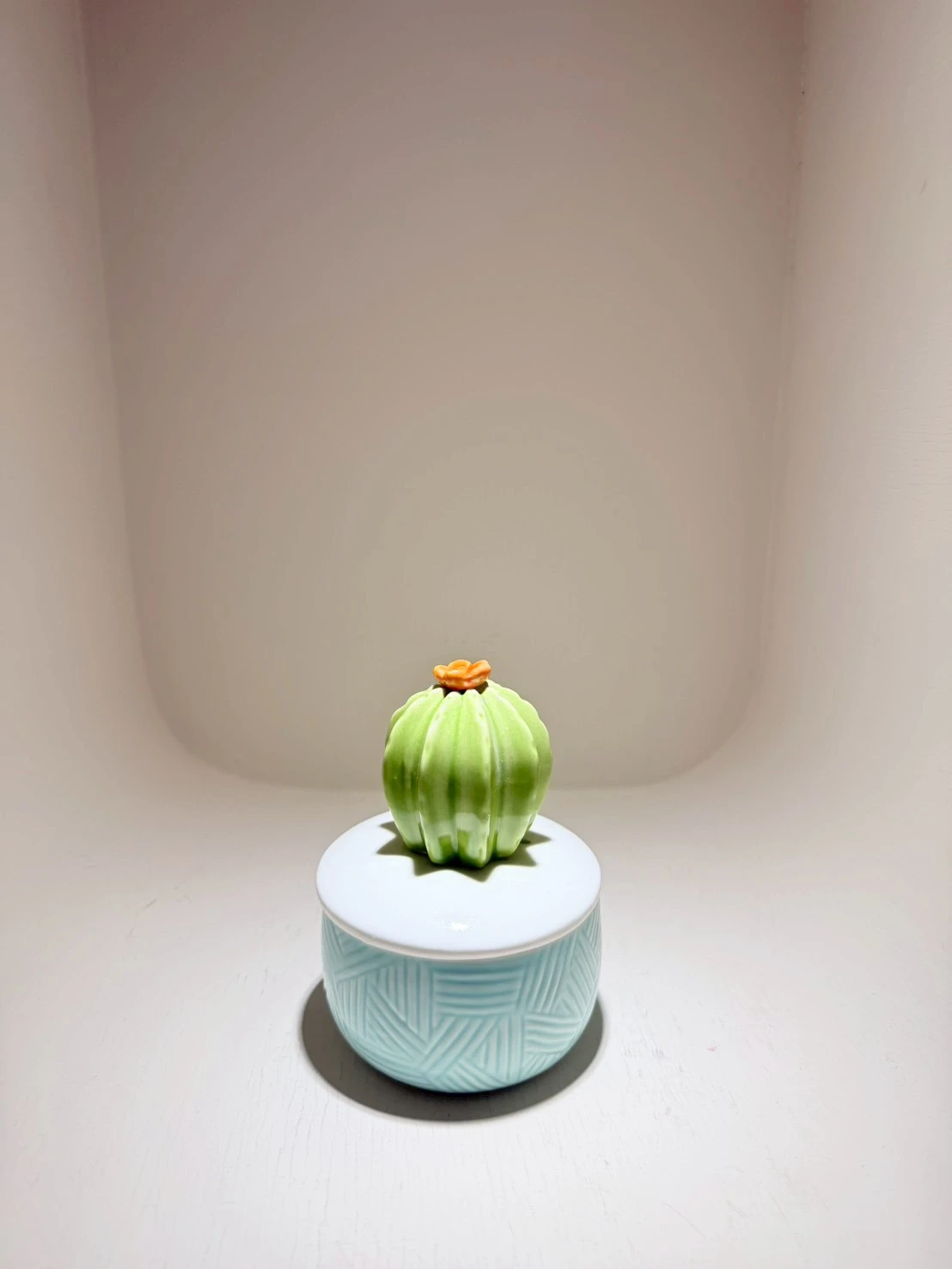 花掌 3公斤