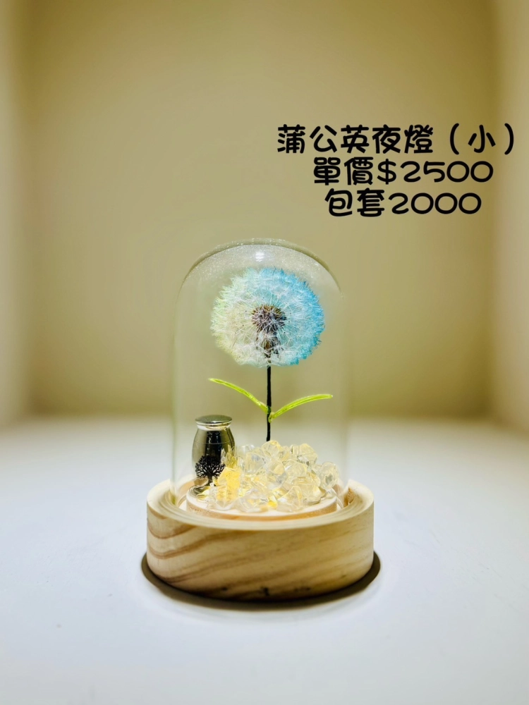 蒲公英夜燈(小)