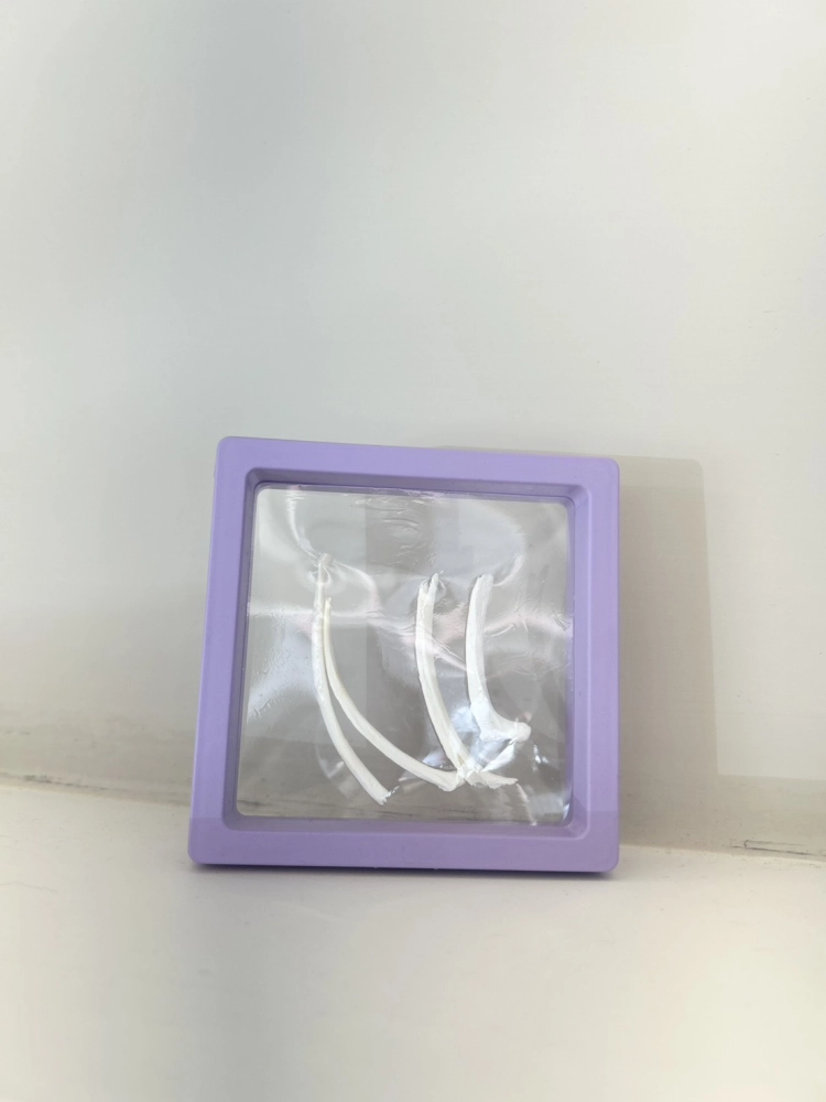 骨頭&羽毛紀念框 大