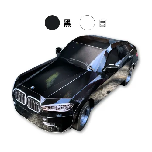 BMW X6 B304