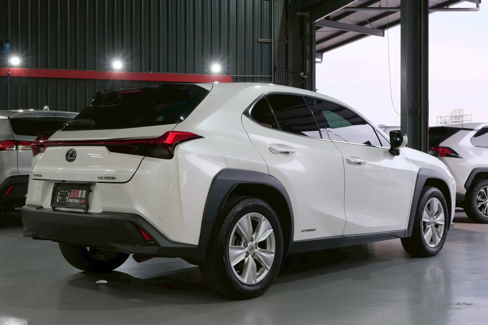 ⚪ 2020 Lexus UX 250h 豪華版 白色